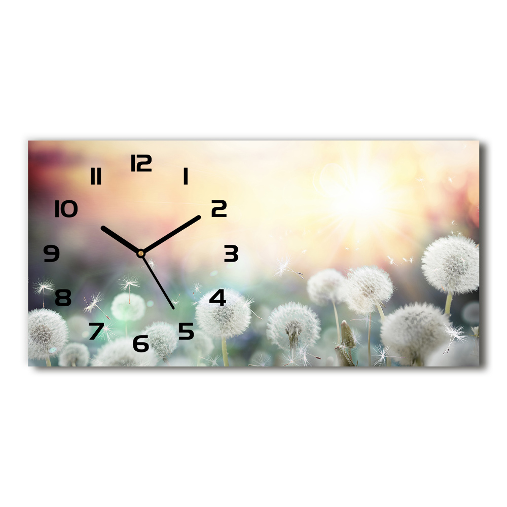 Horizontal wall clock Dandelis pole