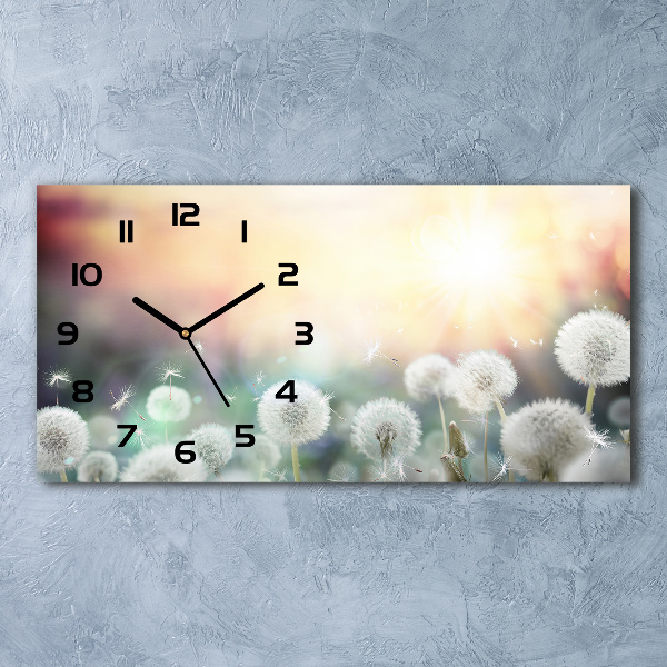 Horizontal wall clock Dandelis pole