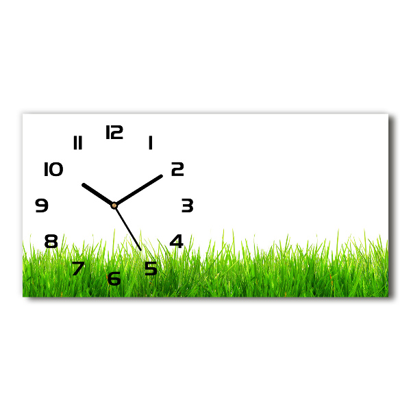 Horizontal wall clock Grass