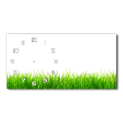 Horizontal wall clock Grass