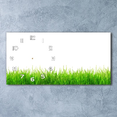 Horizontal wall clock Grass