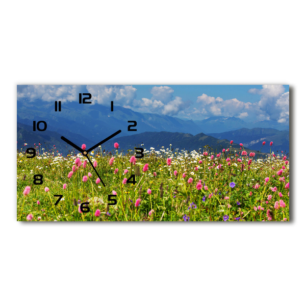 Horizontal wall clock Meadow in the mountains