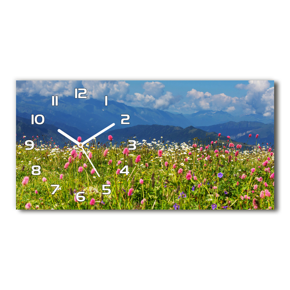 Horizontal wall clock Meadow in the mountains