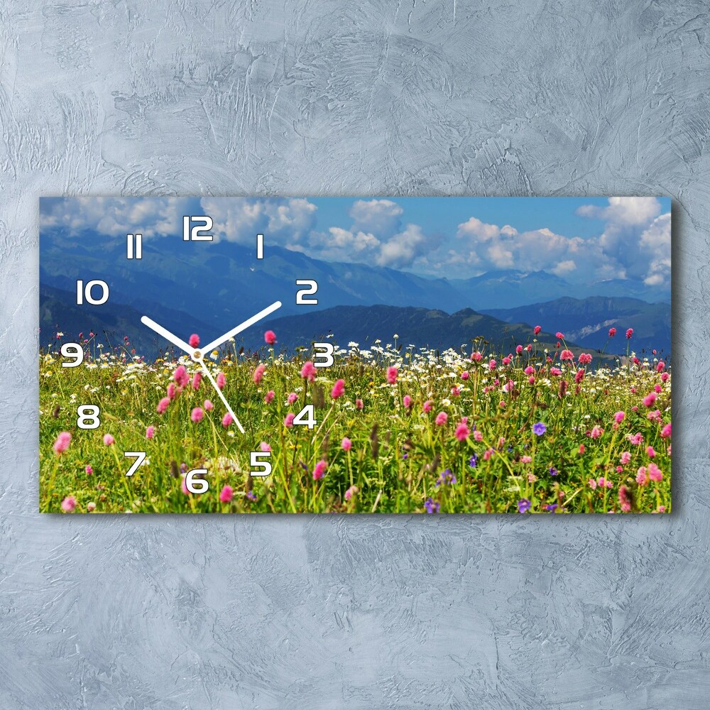 Horizontal wall clock Meadow in the mountains