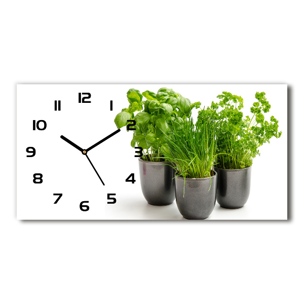 Horizontal wall clock Herbs in pots