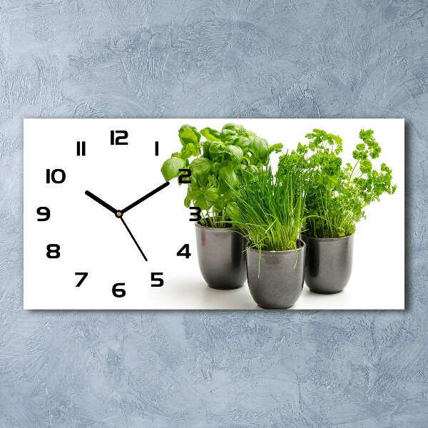 Horizontal wall clock Herbs in pots