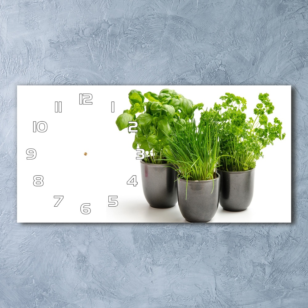 Horizontal wall clock Herbs in pots