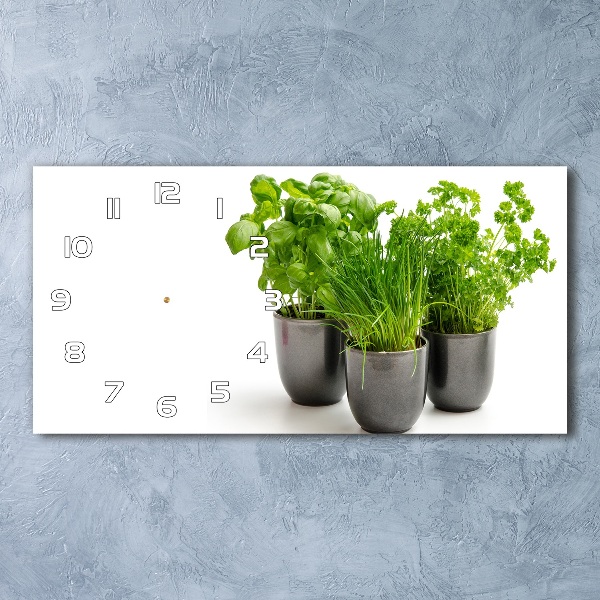 Horizontal wall clock Herbs in pots