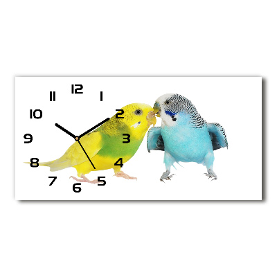 Horizontal wall clock Faded parakeets