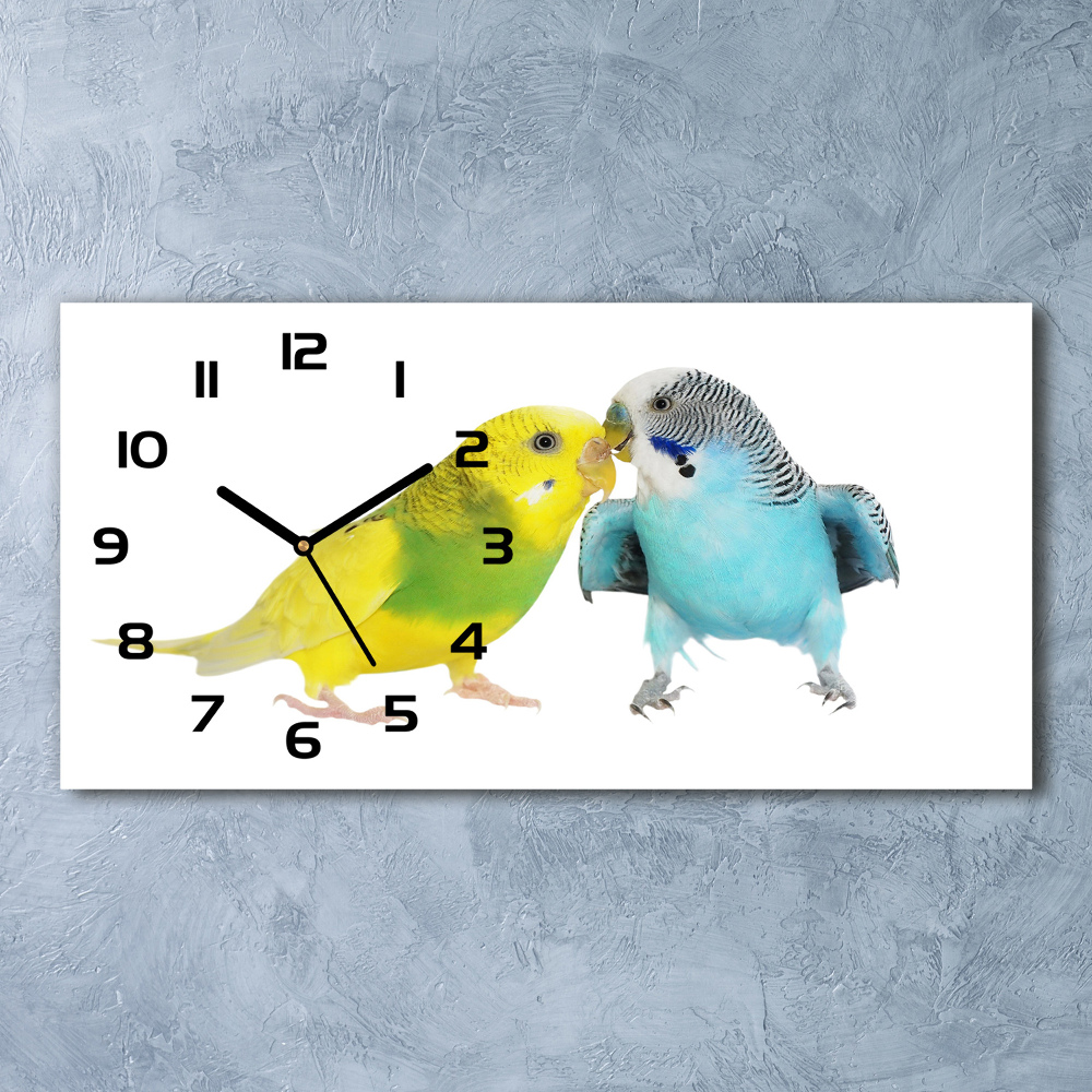 Horizontal wall clock Faded parakeets