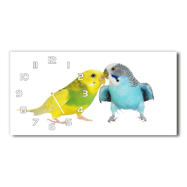 Horizontal wall clock Faded parakeets