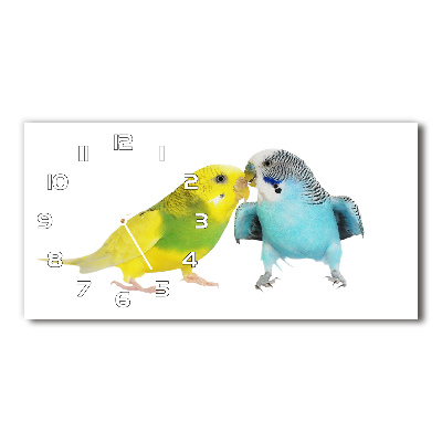 Horizontal wall clock Faded parakeets