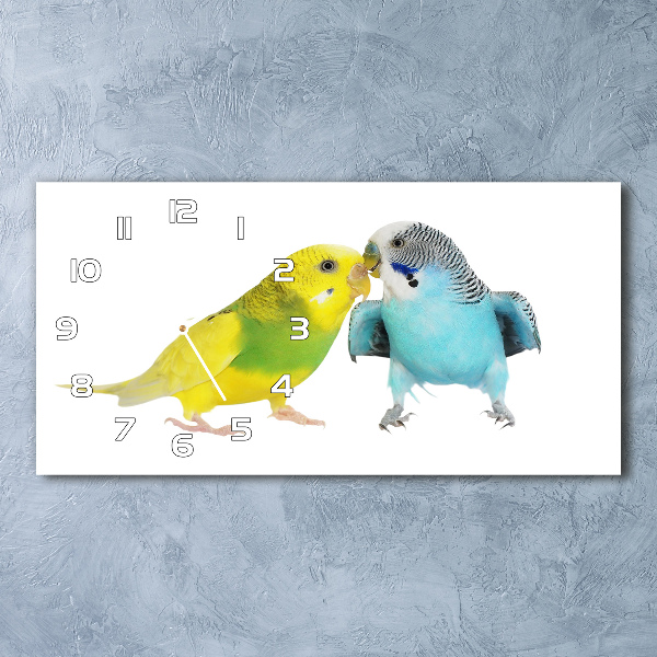 Horizontal wall clock Faded parakeets