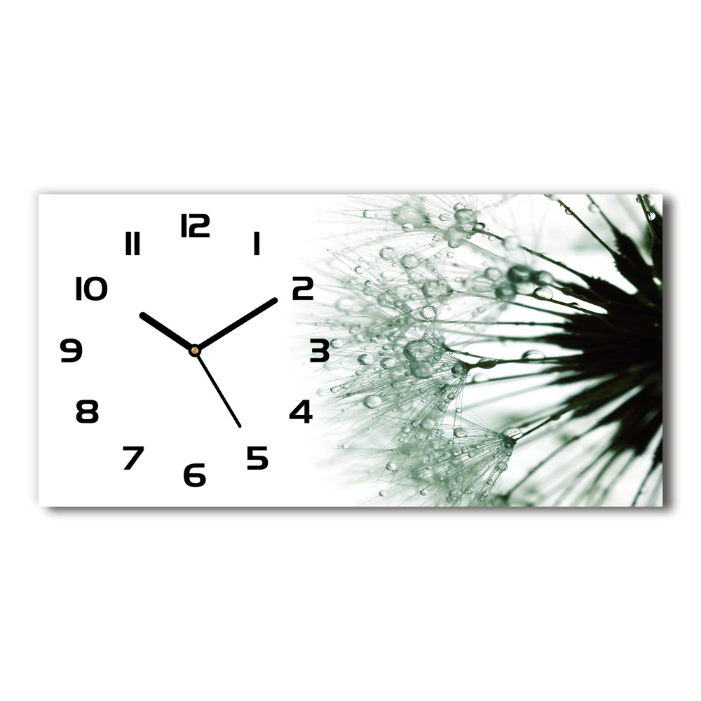 Horizontal rectangular wall clock Dandelion seeds