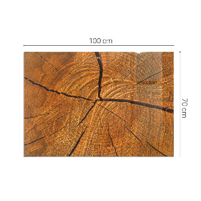 Rectangular glass hearth Wood in cross-section with natural grain