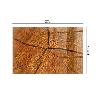 Rectangular glass hearth Wood in cross-section with natural grain