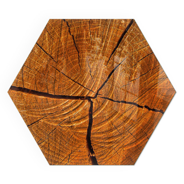Hexagonal glass hearth Wood in cross-section with natural grain