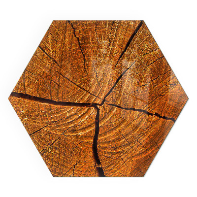 Hexagonal glass hearth Wood in cross-section with natural grain