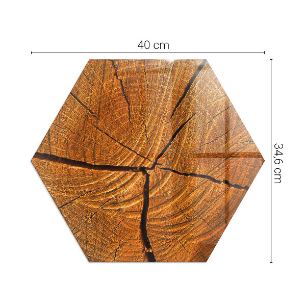 Hexagonal glass hearth Wood in cross-section with natural grain