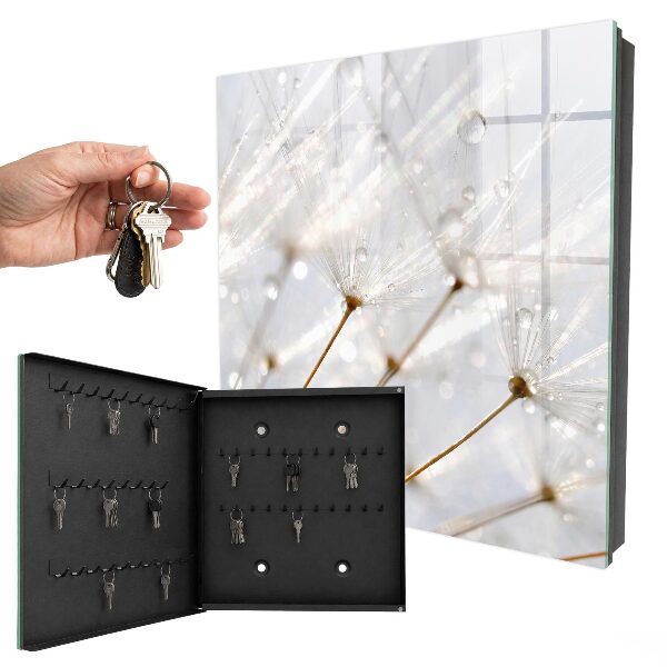 Key storage box The lightness of nature