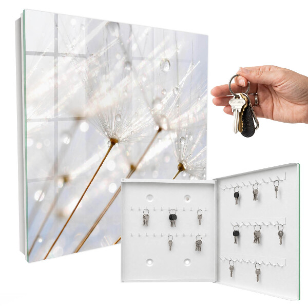 Key storage box The lightness of nature