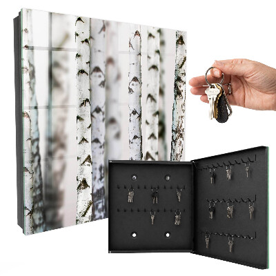 Key box Birch trunks