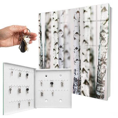 Key box Birch trunks