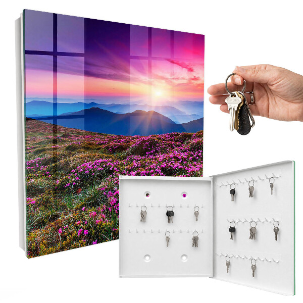 Key cabinet for wall Mountain morning