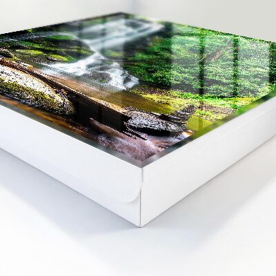 Key storage box Natural oasis