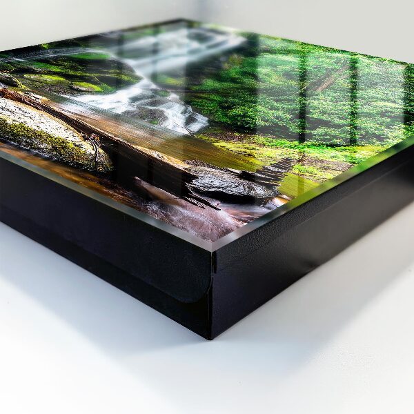 Key storage box Natural oasis