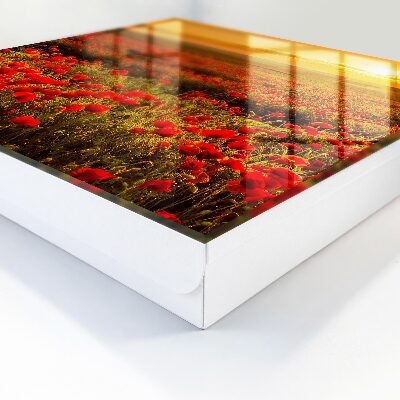 Key cabinet for wall Poppy fields