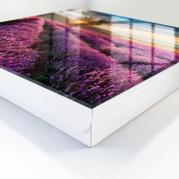 Key box Lavender sunset