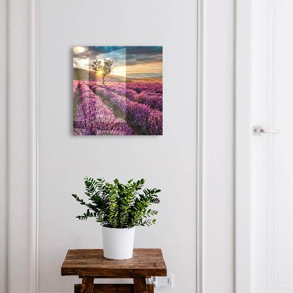 Key box Lavender sunset