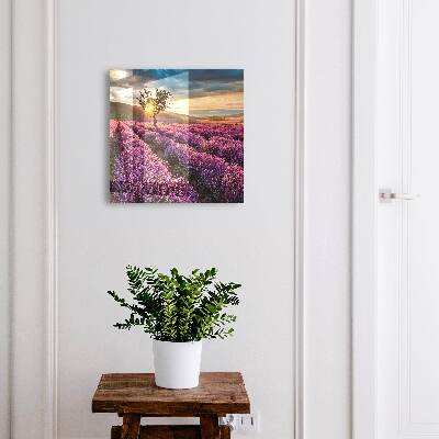 Key box Lavender sunset