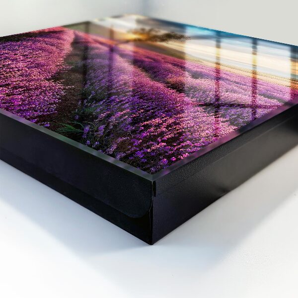 Key box Lavender sunset