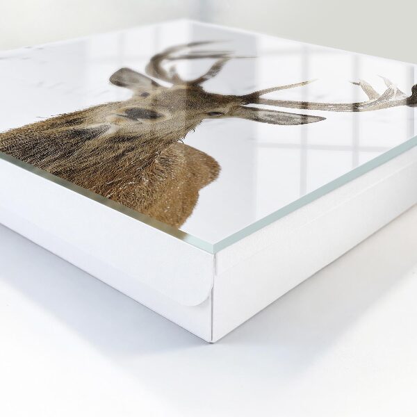 Key storage box Winter deer