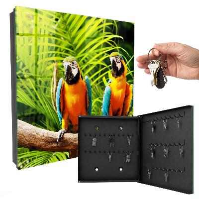 Key box Tropical birds