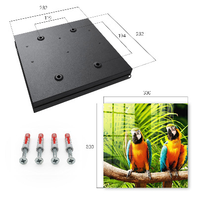 Key box Tropical birds