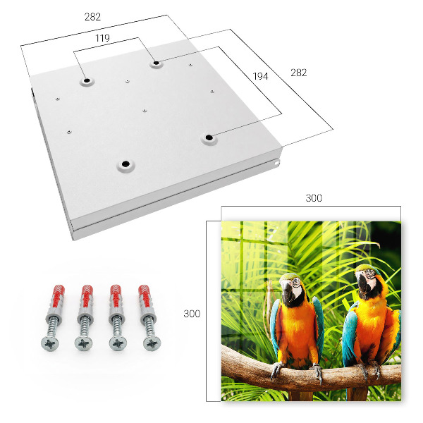 Key box Tropical birds