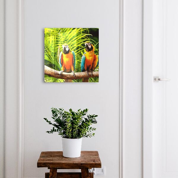 Key box Tropical birds