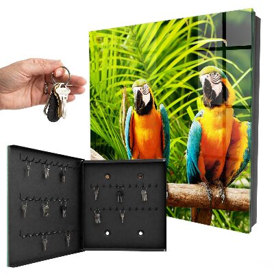 Key box Tropical birds