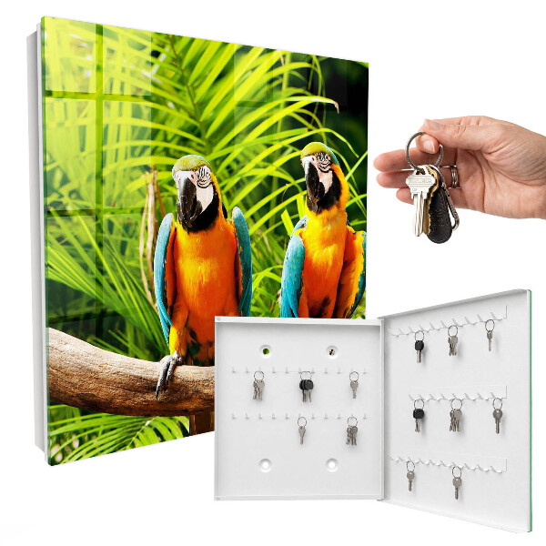 Key box Tropical birds