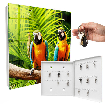 Key box Tropical birds