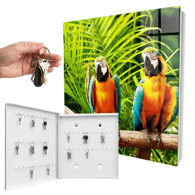 Key box Tropical birds