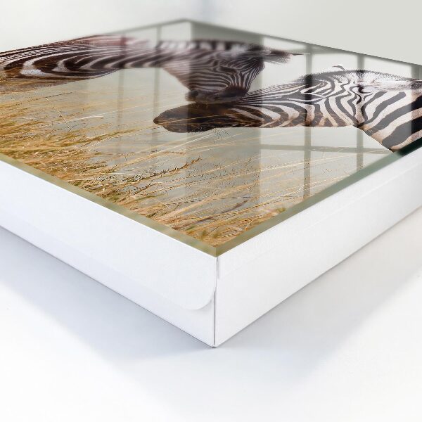 Key storage box Zebras together