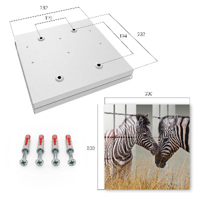 Key storage box Zebras together