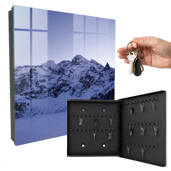 Key cabinet for wall Winter majesty