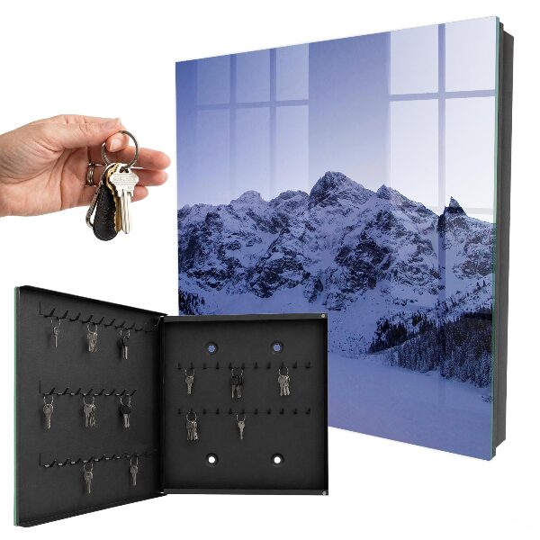 Key cabinet for wall Winter majesty