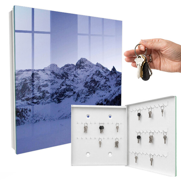 Key cabinet for wall Winter majesty