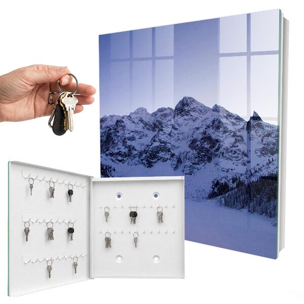 Key cabinet for wall Winter majesty